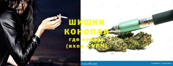 спайс Алексин