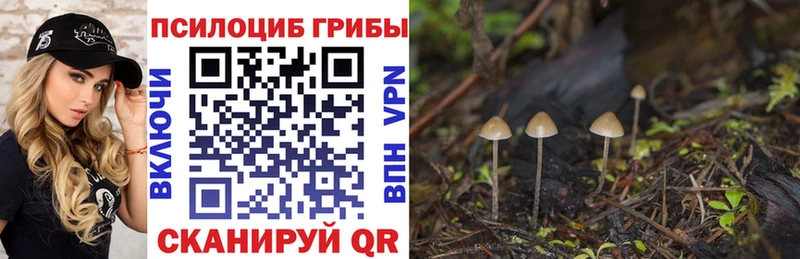 Купить закладки  Дятьково  Галлюциногенные грибы MAGIC MUSHROOMS 
